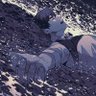 らるら 的头像