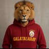 volkan övet's profile picture