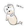 Profilbild von ちま