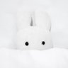 珠央's profile picture