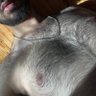kashmir-wolf🐺 的头像