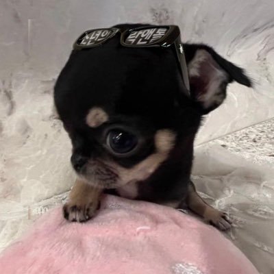 gugu's profile picture