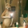 bilardio$'s profile picture