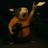 Hampster Certified Professional's profile picture