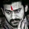 Rebel 🦁's profile picture