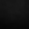 randomizer's profile picture