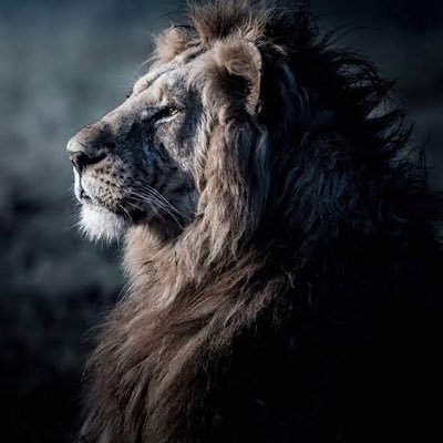 dakshinapata's profile picture