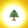 بريد📬's profile picture