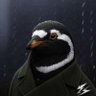 Profilbild von Gnoticing Penguin