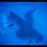 Profilbild von deepseadiver