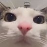 Profilbild von Manona