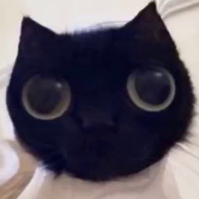 cryesnow's profile picture