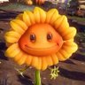 bawad's profile picture
