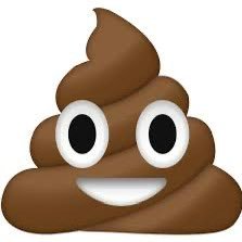 shiz784's profile picture
