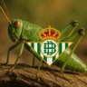 pequeño saltamontes profil fotoğrafı