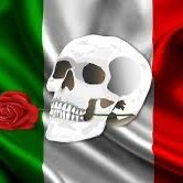 marcell16895275's profile picture