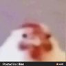 Profilbild von Mikey