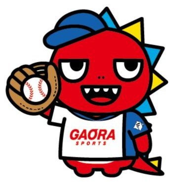 gaora_fighters's profile picture