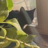 cece profil fotoğrafı