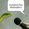 Фото профиля มุมมืด ลับๆ