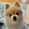 望容あお 的头像