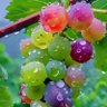 Фото профиля 君は僕、僕は君