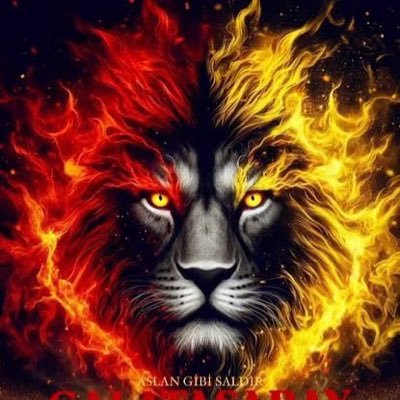 Ⓜ️🅰️slanbeey's profile picture