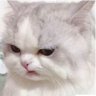 Profilbild von EverySingleTime