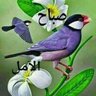 Profilbild von عبدالمجيد مبروك