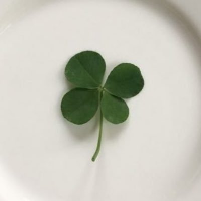 sonnyseasons's profile picture