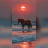 E Abskeen profil fotoğrafı