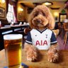 COYS profil fotoğrafı