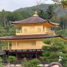 希望の灯は愛 的头像