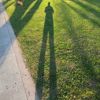Saber Asgharnejad's profile picture
