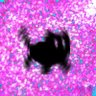 skxhxus's profile picture