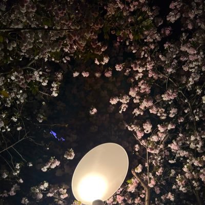 さく's profile picture