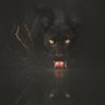 A.H's profile picture