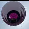 Kyle's profile picture