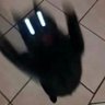 Profilbild von devotee