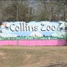 Profilbild von Collins Zoo