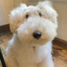 Drosher's profile picture