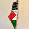 Фото профиля FREE PALESTINE 🇵🇸