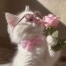 {زهـرة} 🌸🤍's profile picture