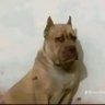 Axel M profil fotoğrafı