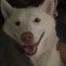Troy S.'s profile picture