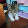 Sussy Nieto profil fotoğrafı