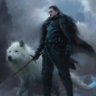 Profilbild von The bastard of Winterfell