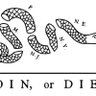 Freedom of Speech's profile picture