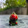 Profilbild von 福爾摩沙