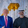 Mohamed Aldhuhoori's profile picture